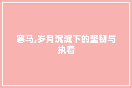 寒马,岁月沉淀下的坚韧与执着