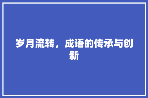岁月流转，成语的传承与创新
