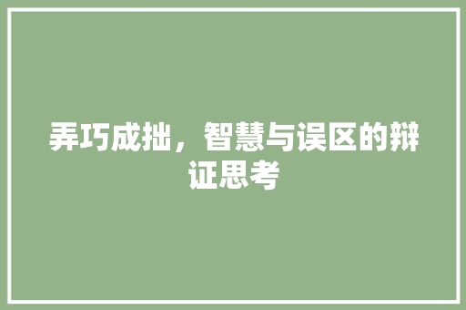 弄巧成拙，智慧与误区的辩证思考