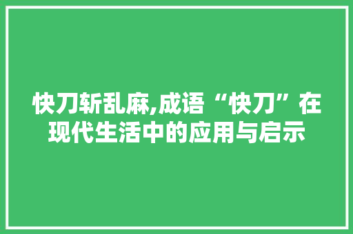 快刀斩乱麻,成语“快刀”在现代生活中的应用与启示