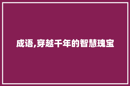 成语,穿越千年的智慧瑰宝