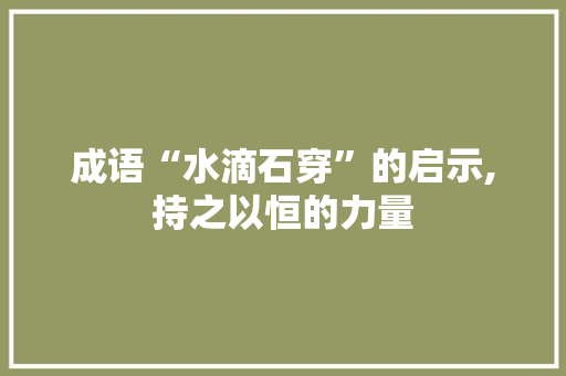 成语“水滴石穿”的启示,持之以恒的力量