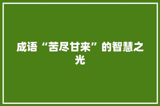 成语“苦尽甘来”的智慧之光