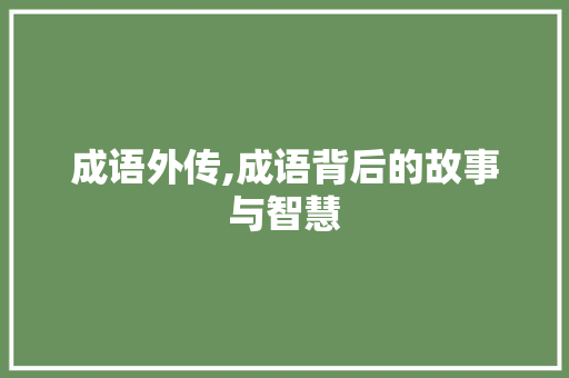 成语外传,成语背后的故事与智慧