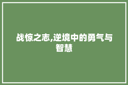 战惊之志,逆境中的勇气与智慧
