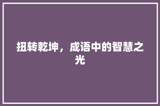 扭转乾坤，成语中的智慧之光