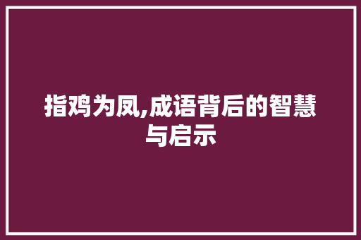指鸡为凤,成语背后的智慧与启示