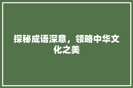 探秘成语深意，领略中华文化之美