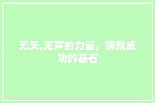 无矢,无声的力量，铸就成功的基石 范文宝典