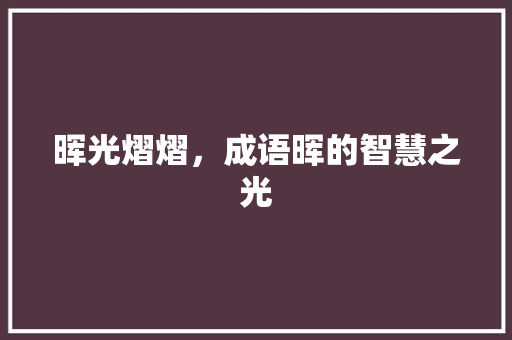 晖光熠熠，成语晖的智慧之光