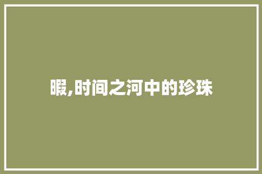 暇,时间之河中的珍珠