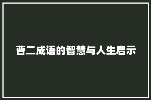 曹二成语的智慧与人生启示