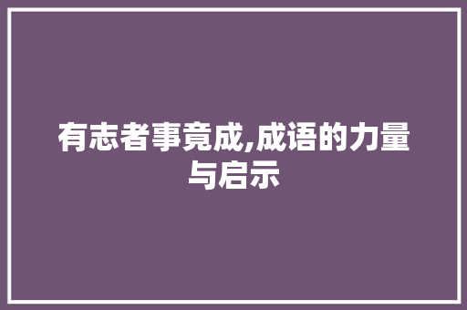 有志者事竟成,成语的力量与启示