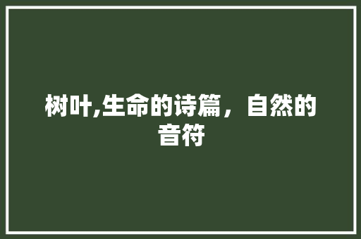树叶,生命的诗篇，自然的音符