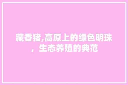 藏香猪,高原上的绿色明珠，生态养殖的典范