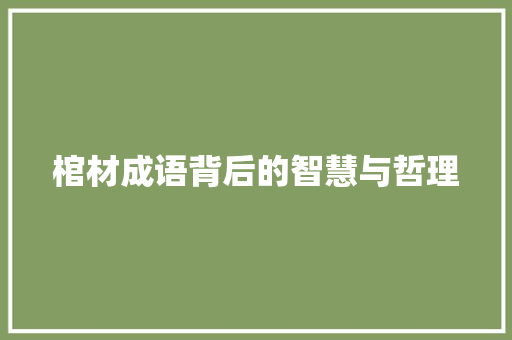 棺材成语背后的智慧与哲理