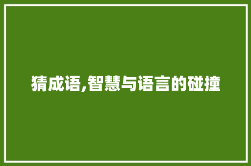 猜成语,智慧与语言的碰撞