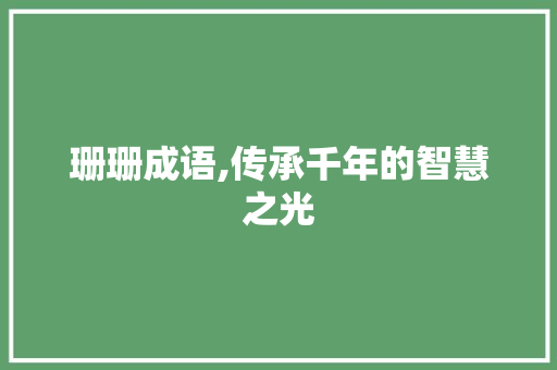 珊珊成语,传承千年的智慧之光