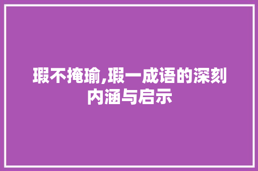 瑕不掩瑜,瑕一成语的深刻内涵与启示