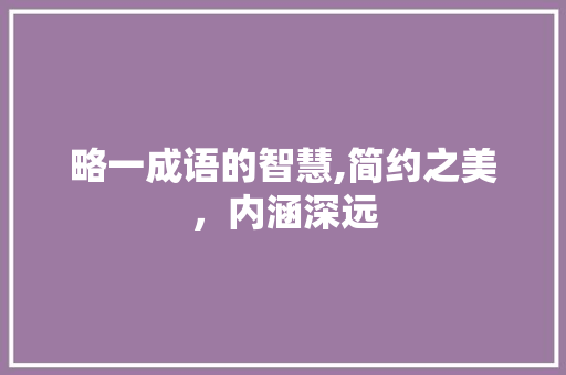 略一成语的智慧,简约之美，内涵深远