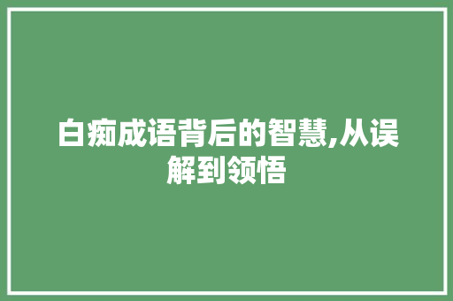 白痴成语背后的智慧,从误解到领悟