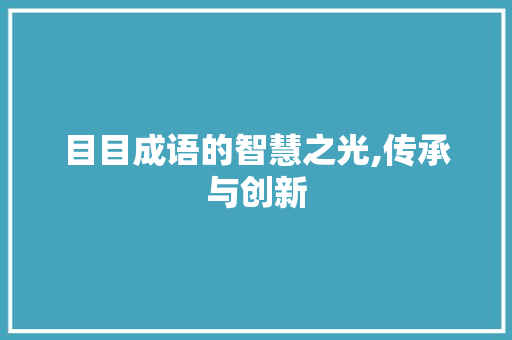 目目成语的智慧之光,传承与创新