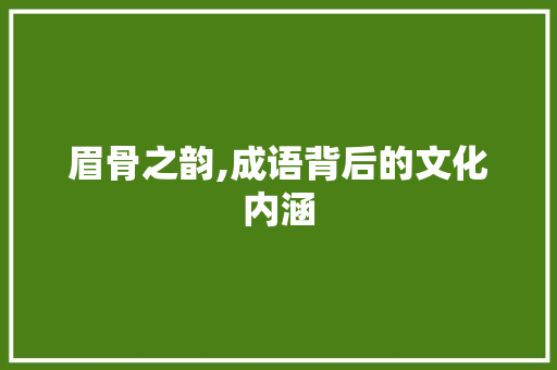 眉骨之韵,成语背后的文化内涵