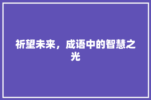 祈望未来，成语中的智慧之光