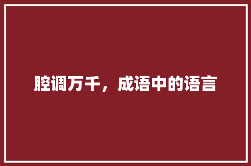 腔调万千，成语中的语言