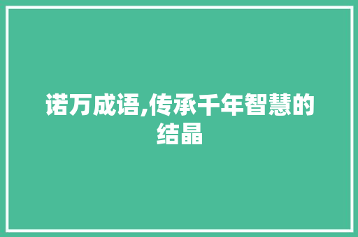 诺万成语,传承千年智慧的结晶