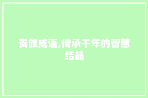 贵族成语,传承千年的智慧结晶