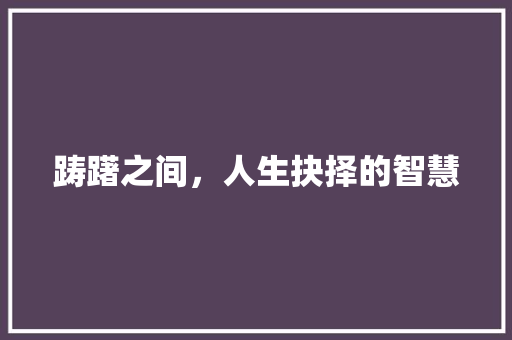 踌躇之间，人生抉择的智慧