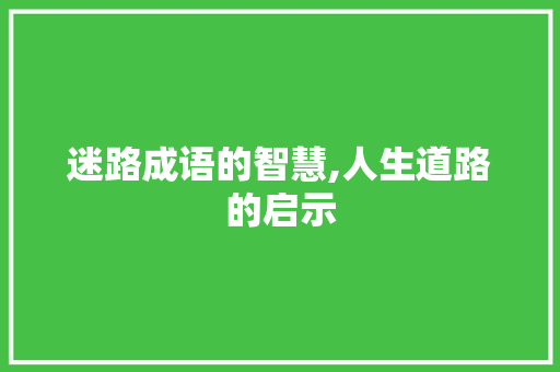 迷路成语的智慧,人生道路的启示