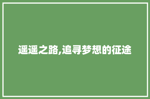 遥遥之路,追寻梦想的征途