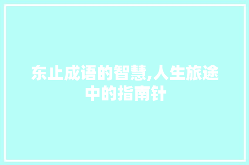 东止成语的智慧,人生旅途中的指南针