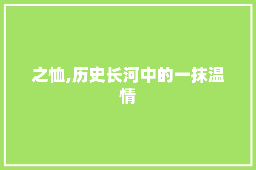 之恤,历史长河中的一抹温情