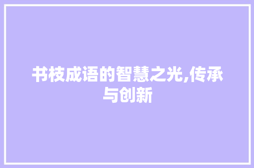 书枝成语的智慧之光,传承与创新