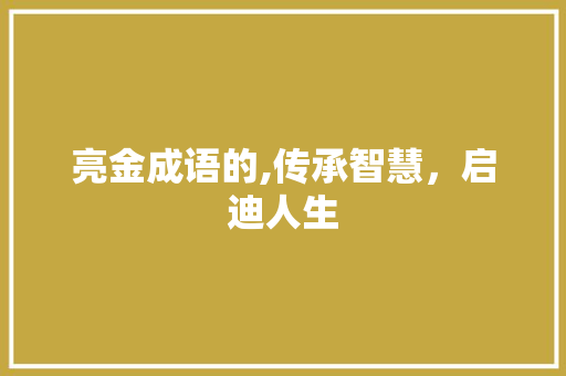 亮金成语的,传承智慧，启迪人生