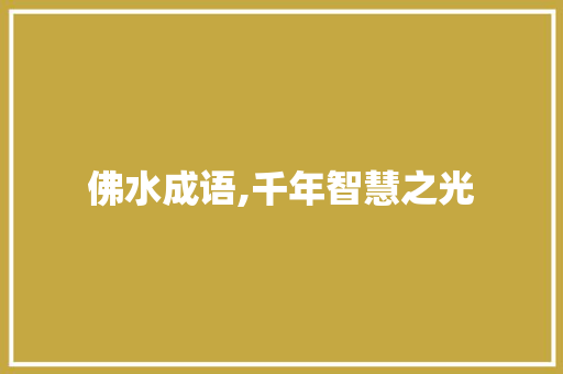 佛水成语,千年智慧之光
