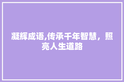 凝辉成语,传承千年智慧，照亮人生道路