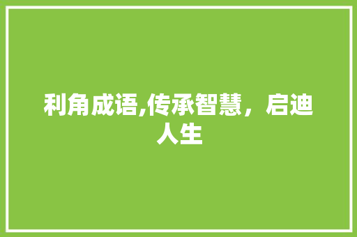 利角成语,传承智慧，启迪人生