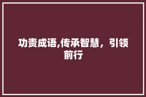 功贵成语,传承智慧，引领前行
