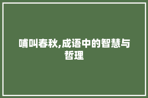 哺叫春秋,成语中的智慧与哲理