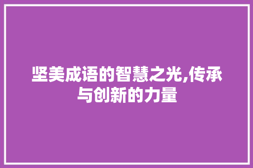 坚美成语的智慧之光,传承与创新的力量