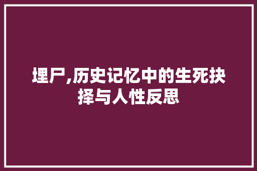 埋尸,历史记忆中的生死抉择与人性反思