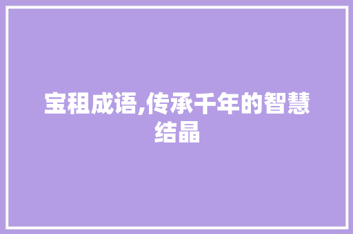 宝租成语,传承千年的智慧结晶