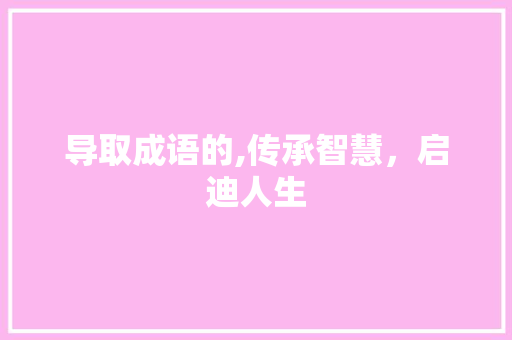 导取成语的,传承智慧，启迪人生