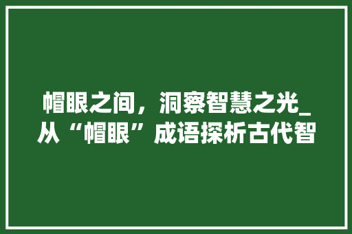 帽眼之间，洞察智慧之光_从“帽眼”成语探析古代智慧