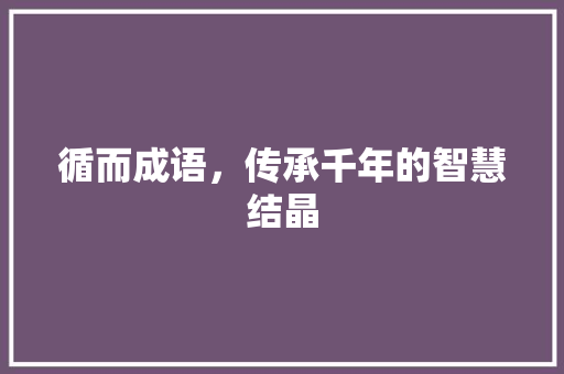 循而成语，传承千年的智慧结晶