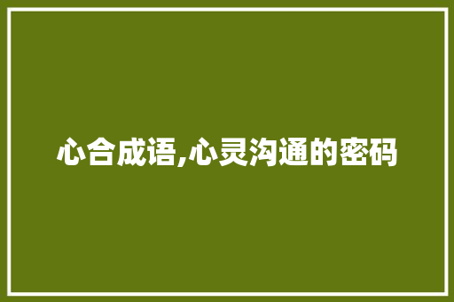 心合成语,心灵沟通的密码